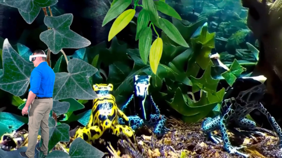 Creepy Crawly Zoo 2.0