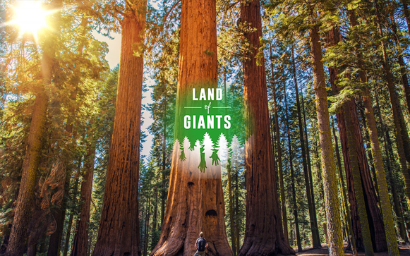 Human Impact on the Environment - Land of Giants