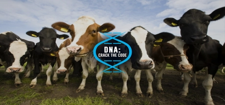 Genes & Inheritance - DNA Crack the Code Image